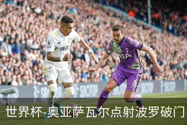 世界杯-奥亚萨瓦尔点射波罗破门 西班牙2-0法国进决赛